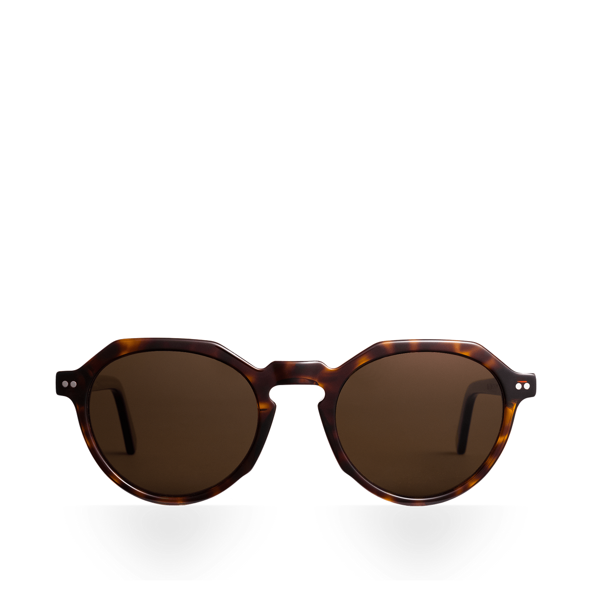 Arctic Tortoise Classic