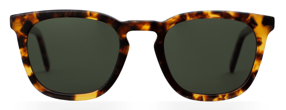 Atlantic Tortoise Havana