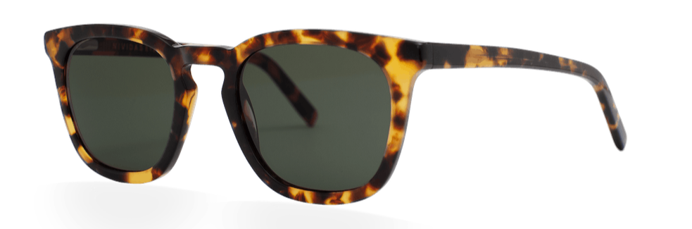 Atlantic Tortoise Havana