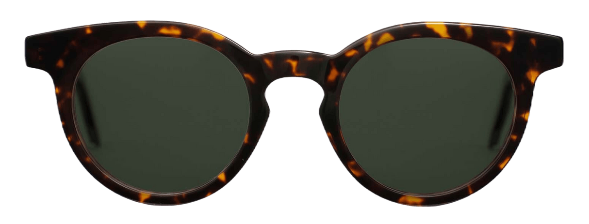 Biarritz Tortoise Classic