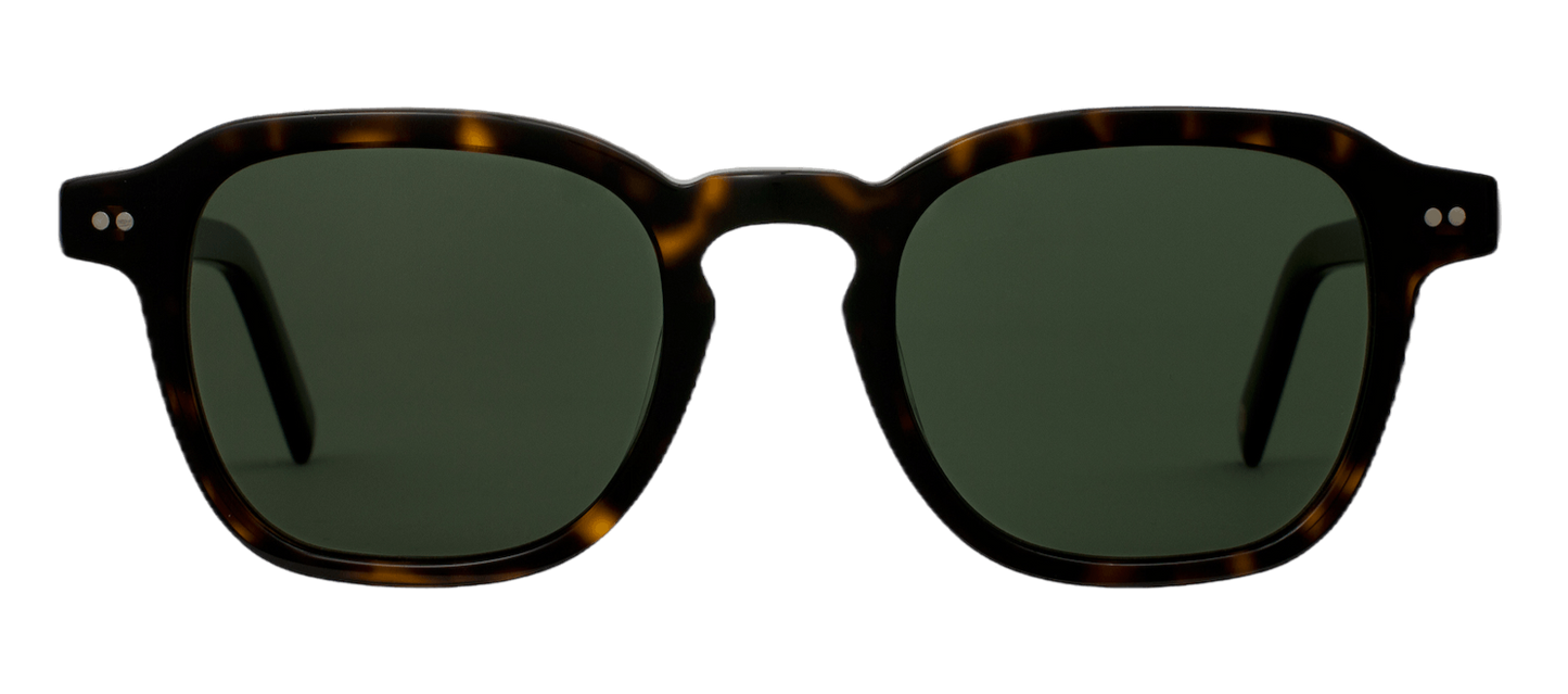 Cartagena Tortoise Classic