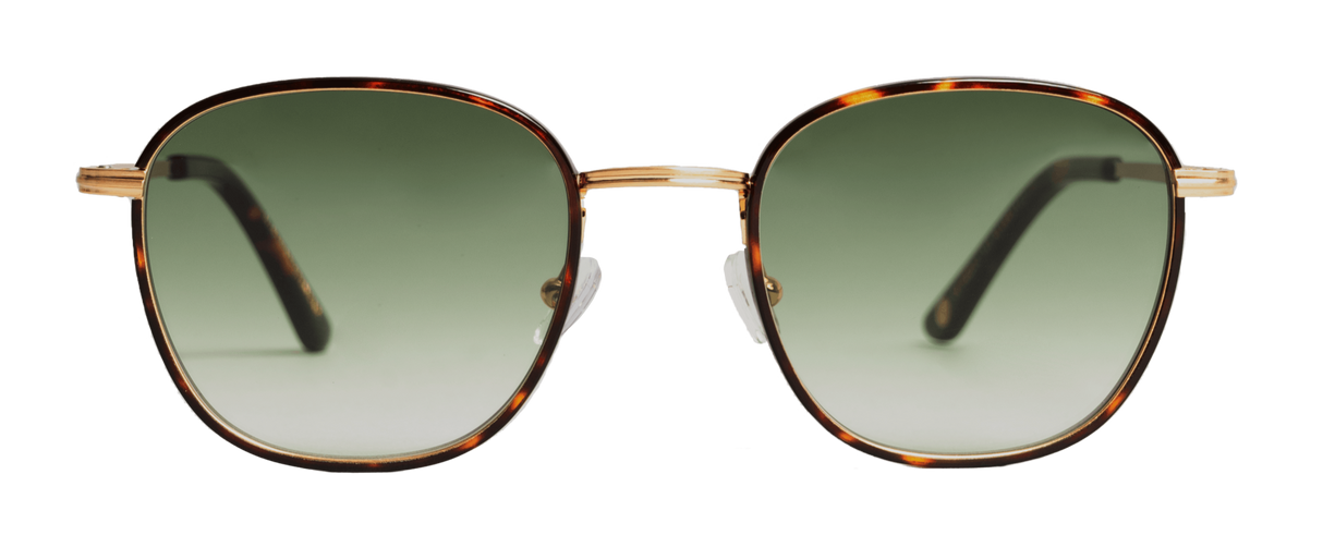 Marrakech Tortoise Classic