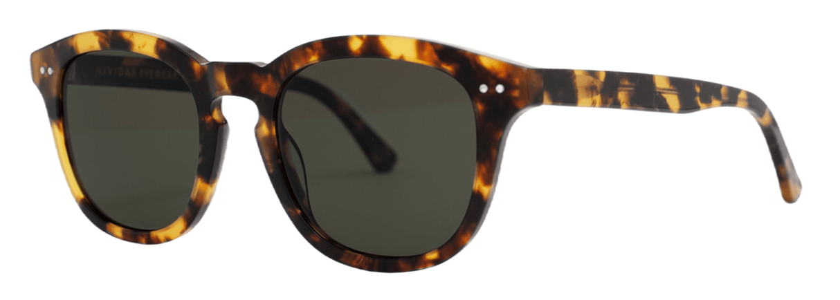 Sydney Tortoise Havana