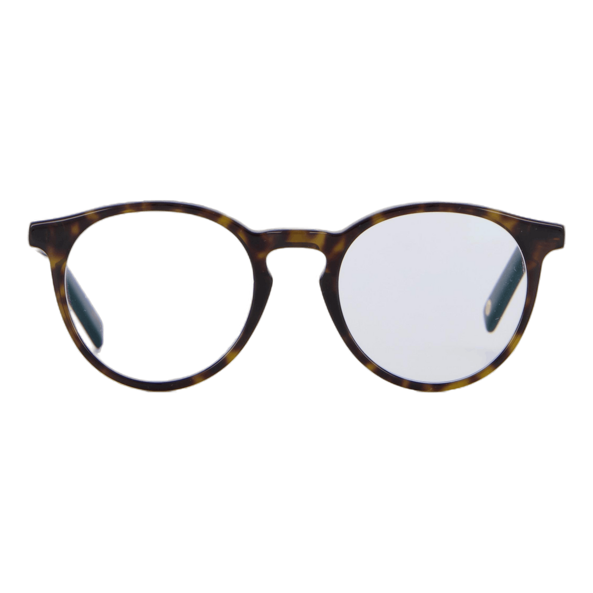 Bilbao Readers Tortoise Classic