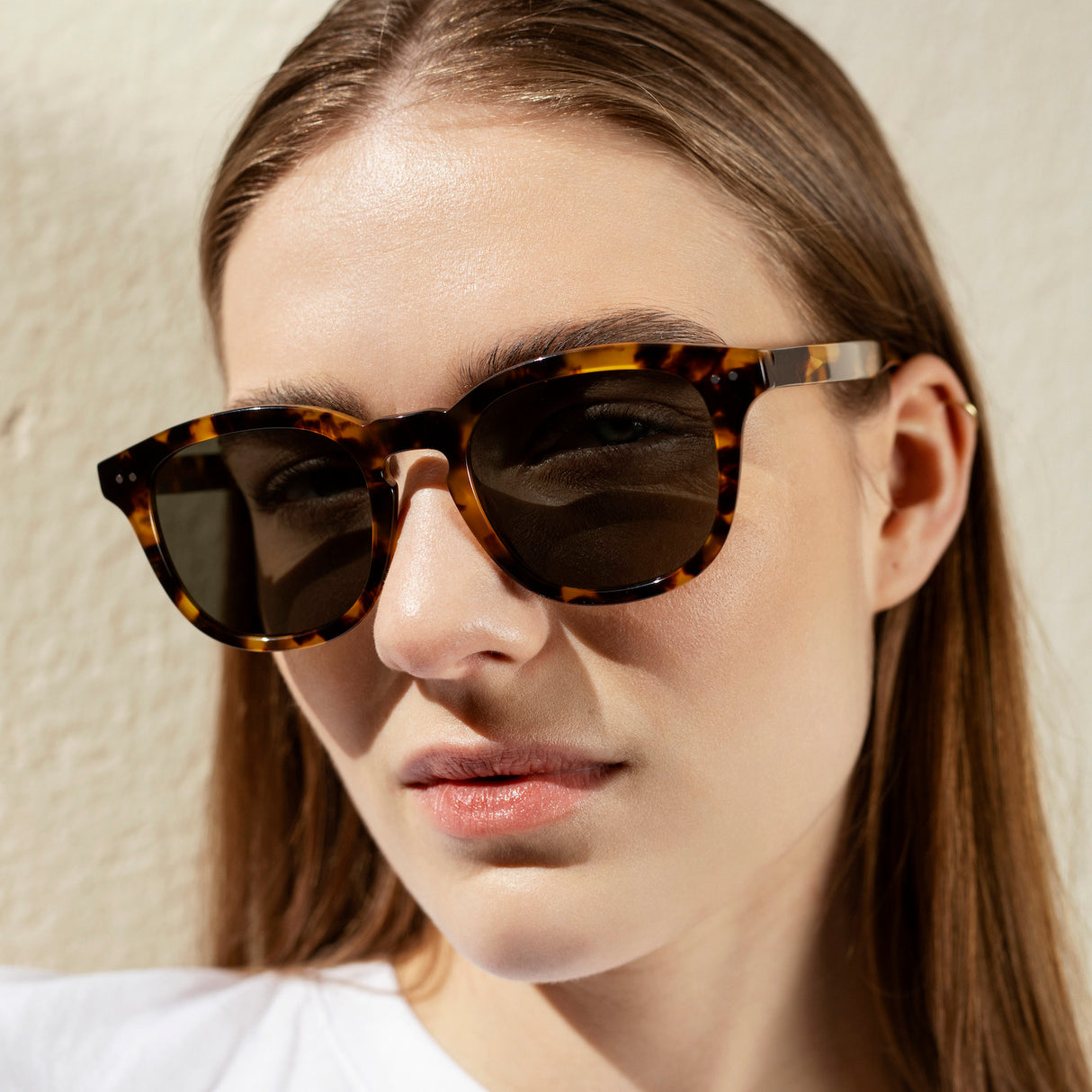 Sydney Tortoise Havana