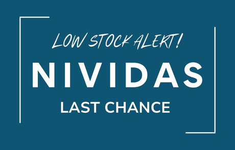 Last Chance Sunnies  - Netlens.com