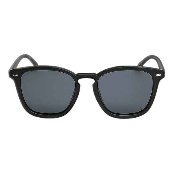 Big Deal *polarized* Matte  W/ Smoke Mono *pol